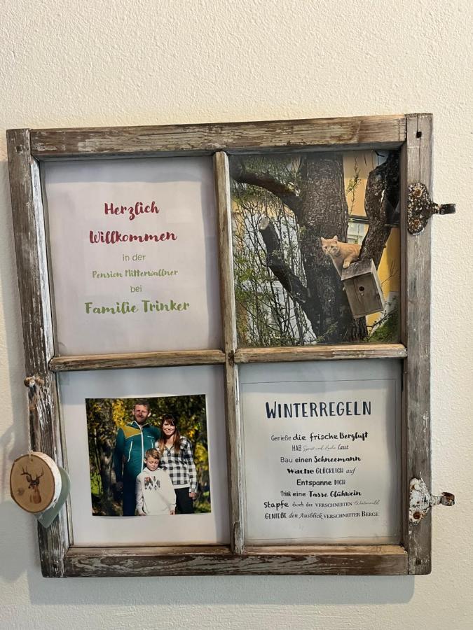 Pension Mitterwallner 斯拉德明 外观 照片
